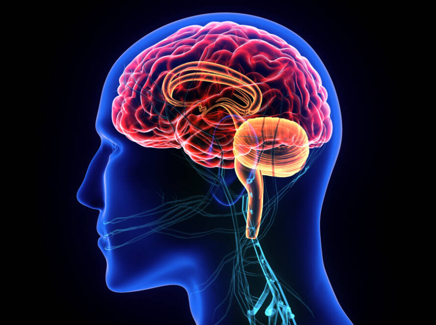 système parasympathique et sono thérapie